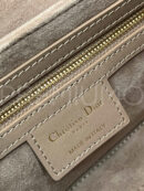 Christian Dior сумка PR745176 22