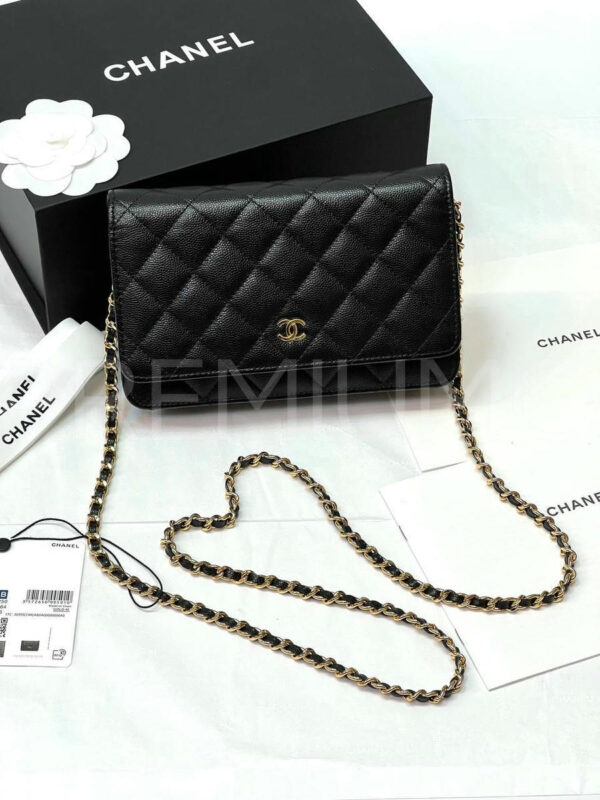 Chanel сумка PR533850