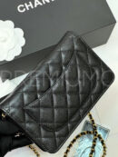 Chanel сумка PR533850 23
