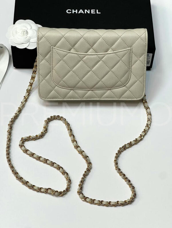 Chanel сумка PR649038 3