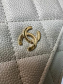 Chanel сумка PR649038 20