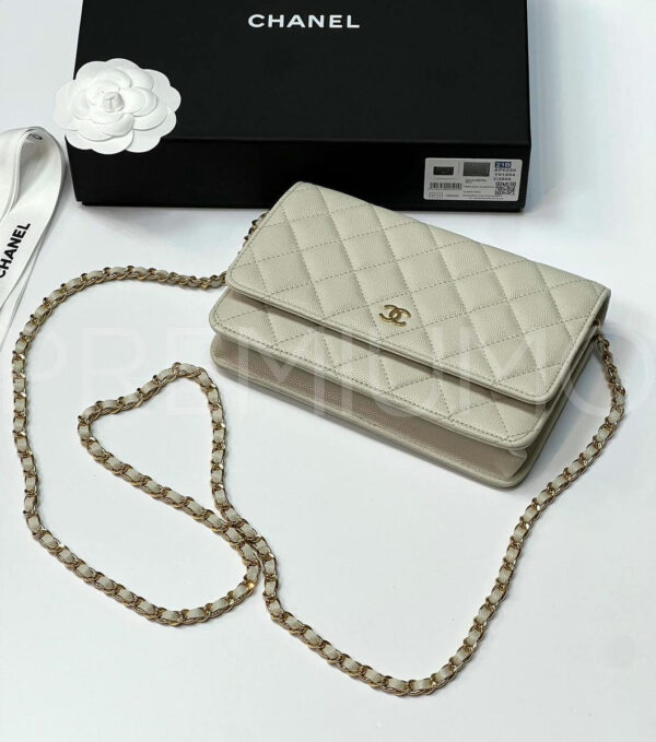 Chanel сумка PR649038 2