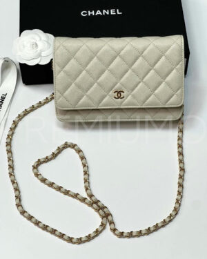 Chanel сумка PR649038