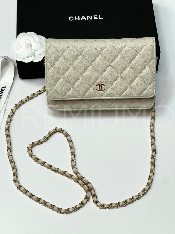Chanel сумка PR649038