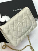 Chanel сумка PR649038 19