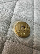 Chanel сумка PR649038 23
