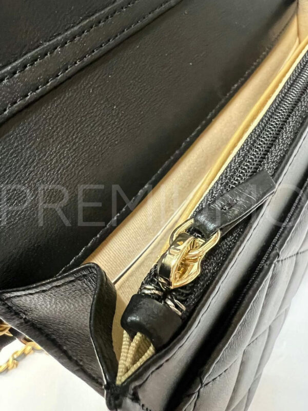 Chanel сумка PR528371 10