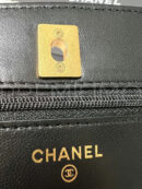 Chanel сумка PR528371 37