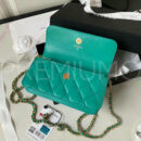 Chanel сумка PR711777 13