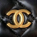 Chanel сумка PR374075 11