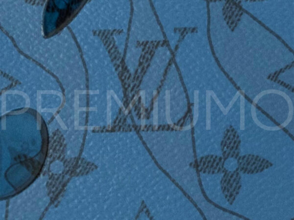 Louis Vuitton сумка PR801539 5
