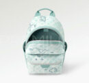 Louis Vuitton рюкзак PR797690 8