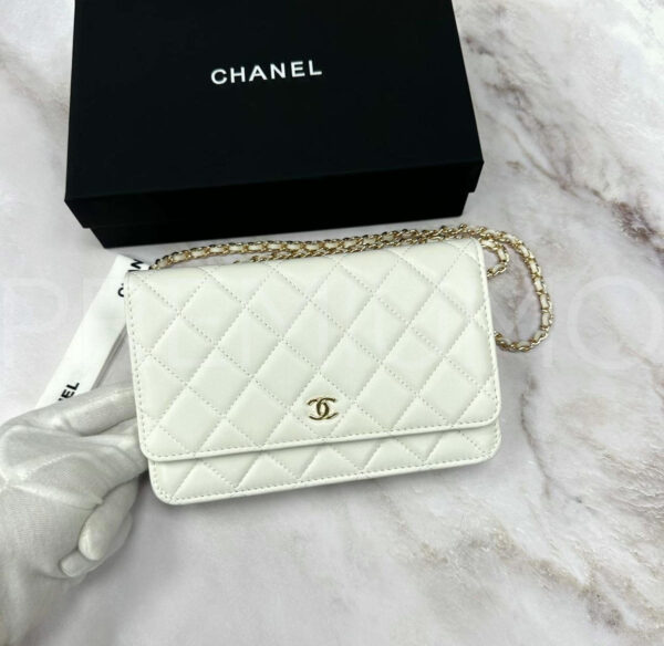 Chanel сумка PR221746 4