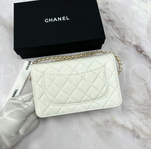 Chanel сумка PR221746 6