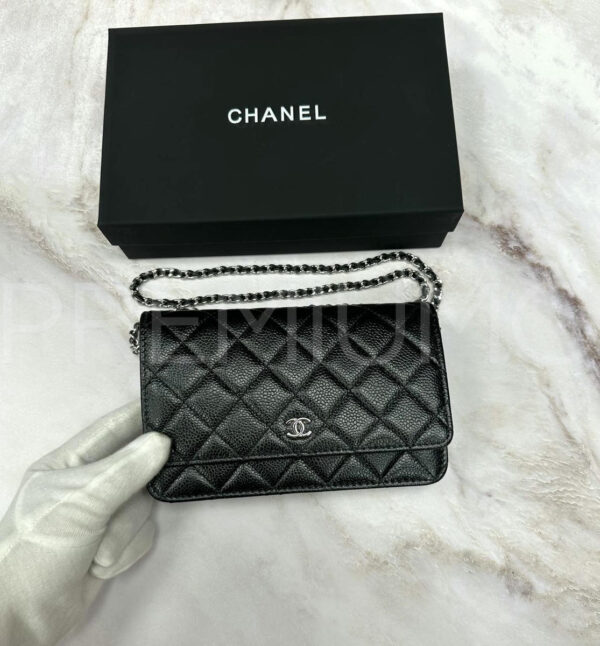Chanel сумка PR734326 2