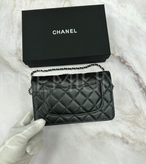 Chanel сумка PR734326 4