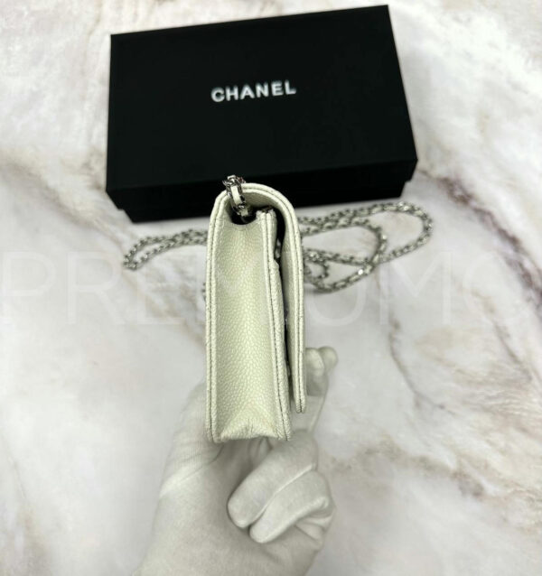 Chanel сумка PR690885 4