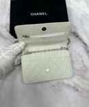 Chanel сумка PR690885 15