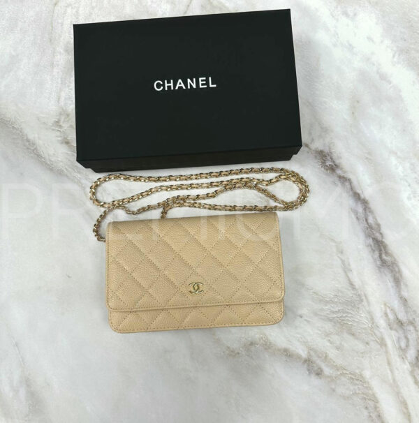 Chanel сумка PR177869