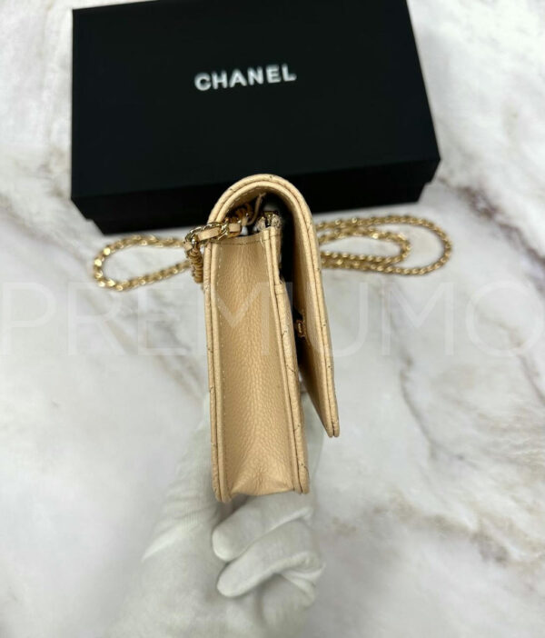 Chanel сумка PR177869 7