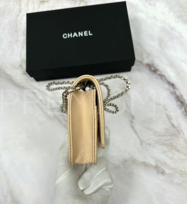 Chanel сумка PR795846 7