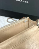 Chanel сумка PR795846 15