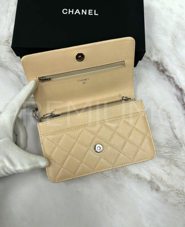 Chanel сумка PR795846 5