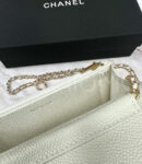 Chanel сумка PR561961 15