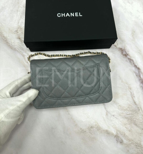 Chanel сумка PR572311 3