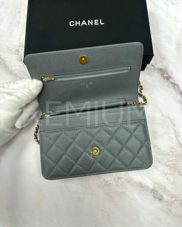 Chanel сумка PR572311 5