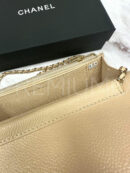 Chanel сумка PR177869 15