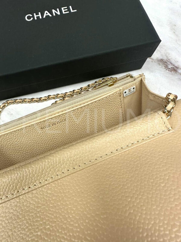 Chanel сумка PR177869 6