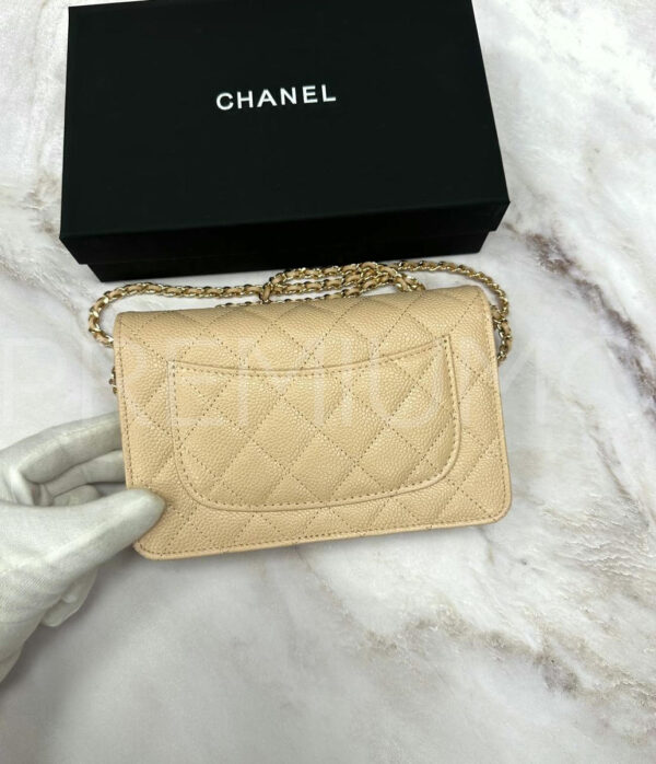 Chanel сумка PR177869 3
