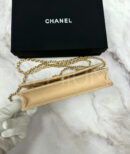 Chanel сумка PR177869 17