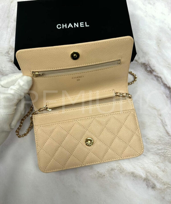 Chanel сумка PR177869 4