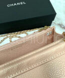 Chanel сумка PR241702 15