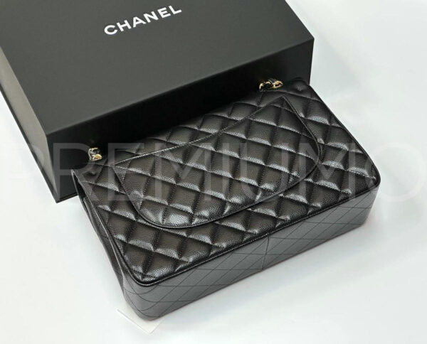 Chanel сумка PR254483 4