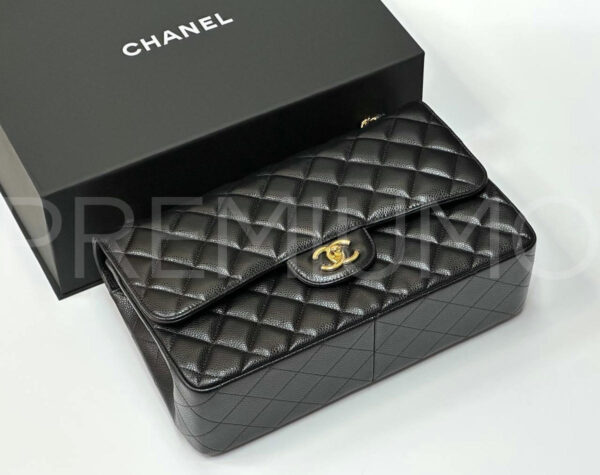 Chanel сумка PR254483 3