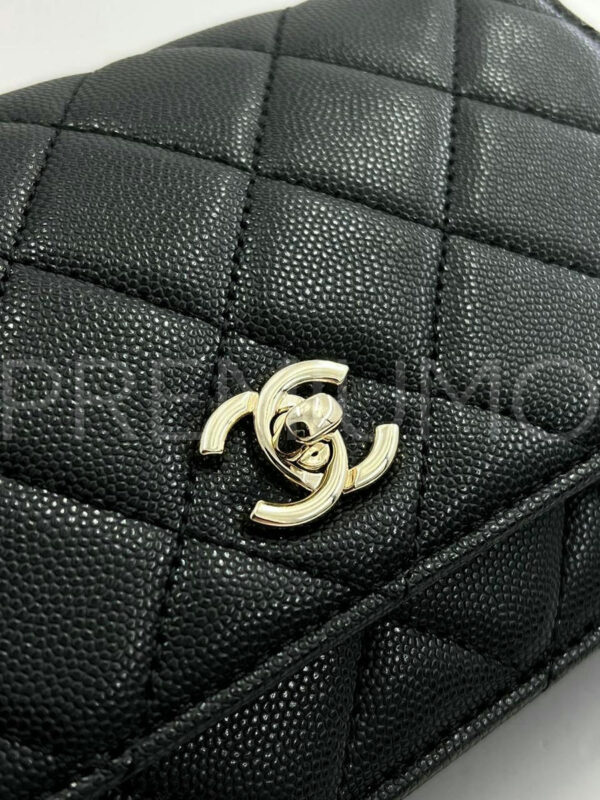 Chanel сумка PR733388 4