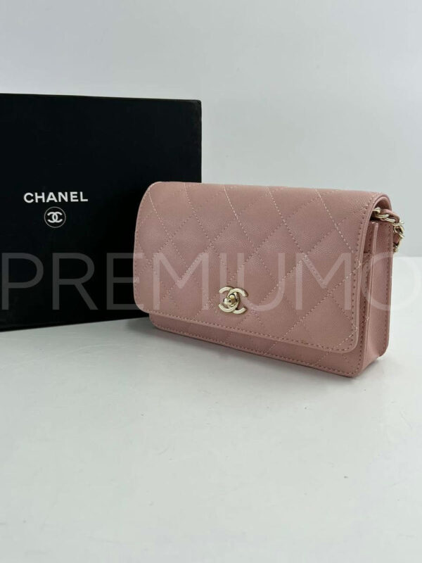Chanel сумка PR690099 2
