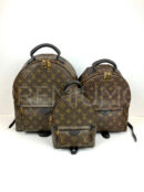 Louis Vuitton рюкзак PR544953 16