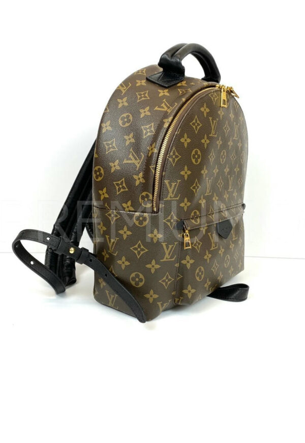 Louis Vuitton рюкзак PR525821 2