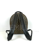 Louis Vuitton рюкзак PR572509 6