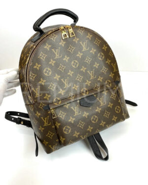 Louis Vuitton рюкзак PR525821 Louis Vuitton рюкзак PR525821