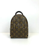 Louis Vuitton рюкзак PR544953 11