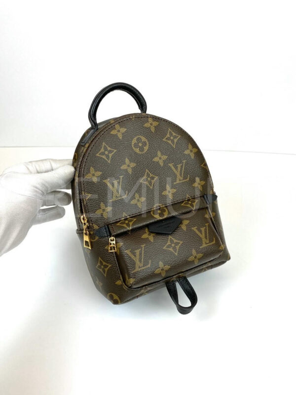 Louis Vuitton рюкзак PR544953 2