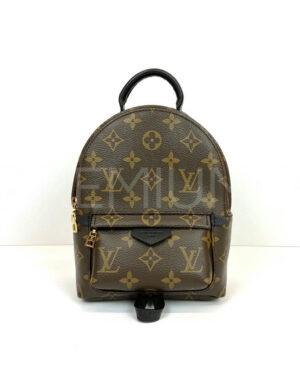 Louis Vuitton рюкзак PR544953 Louis Vuitton рюкзак PR544953