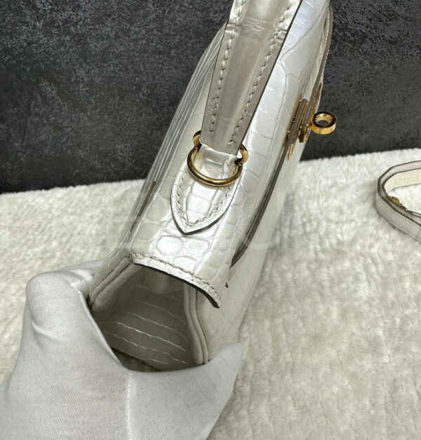 Hermes сумка PR526176 6