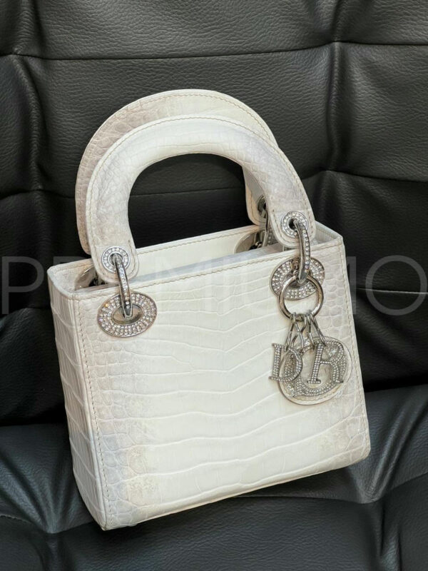 Christian Dior сумка PR578557