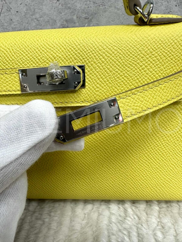 Hermes сумка PR781164 4